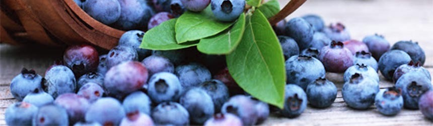 Succo di mirtillo: quanti benefici in un solo bicchiere!