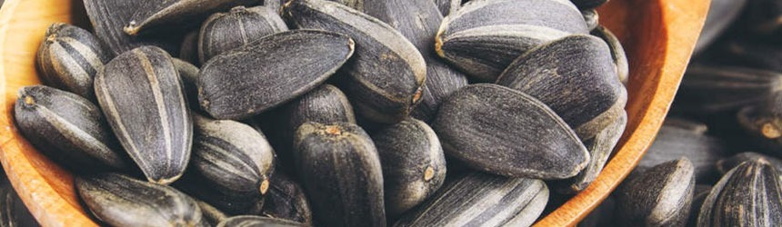 Semi oleosi e semi di girasole 