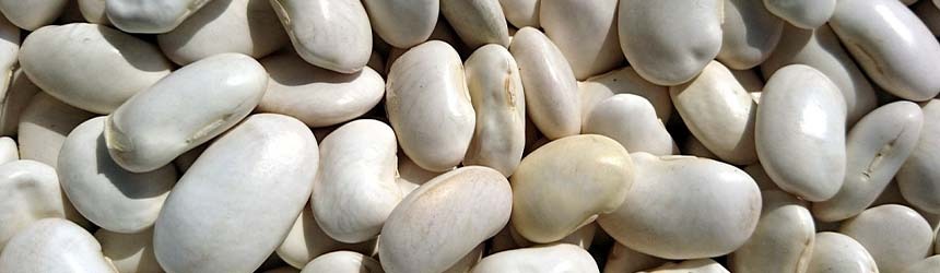 Fagioli cannellini: un cibo povero, ma ricco di proprietà e gusto