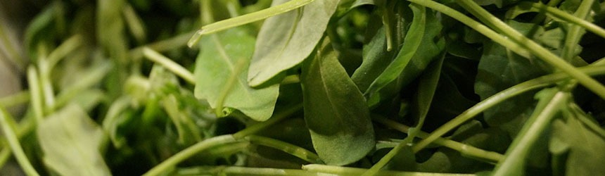Miglio al pesto di rucola e noci