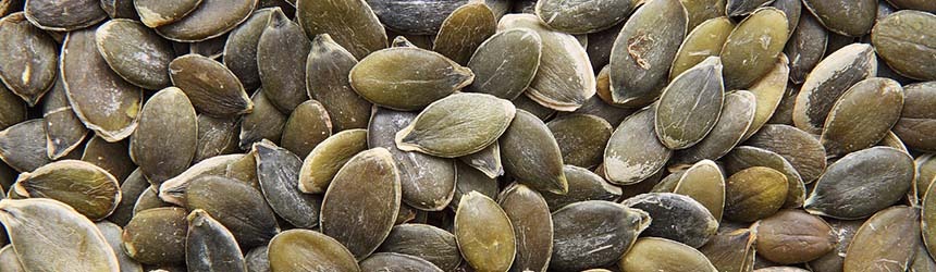 Insalata con finocchi, arance e semi di zucca