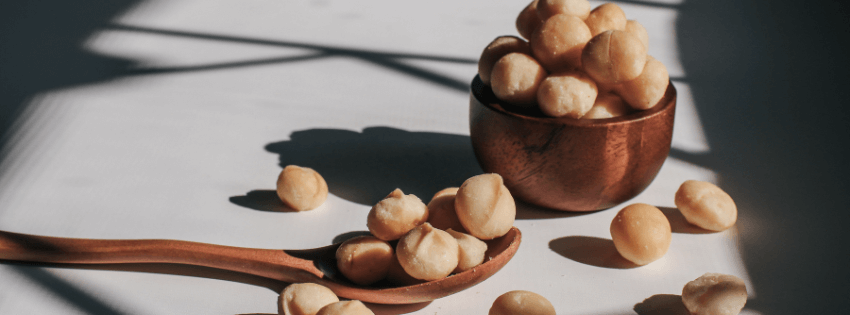 L’etimologia della tavola: LEGUME