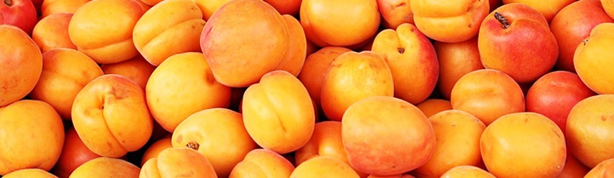 Giugno è tempo di... Albicocche! 