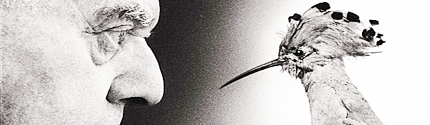 Quando il cibo diventa... Letteratura: Eugenio Montale 