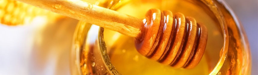 Miele tra proprietà e apicoltura biologica 