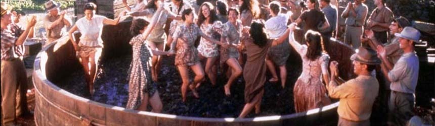 Quando il cibo diventa... Cinema: "Il profumo del mosto selvatico" 