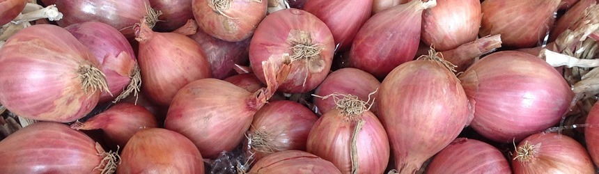 Sagra dello scalogno piacentino 