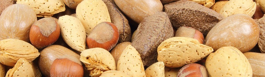 Frutta secca: mandorle e nocciole per il nostro benessere